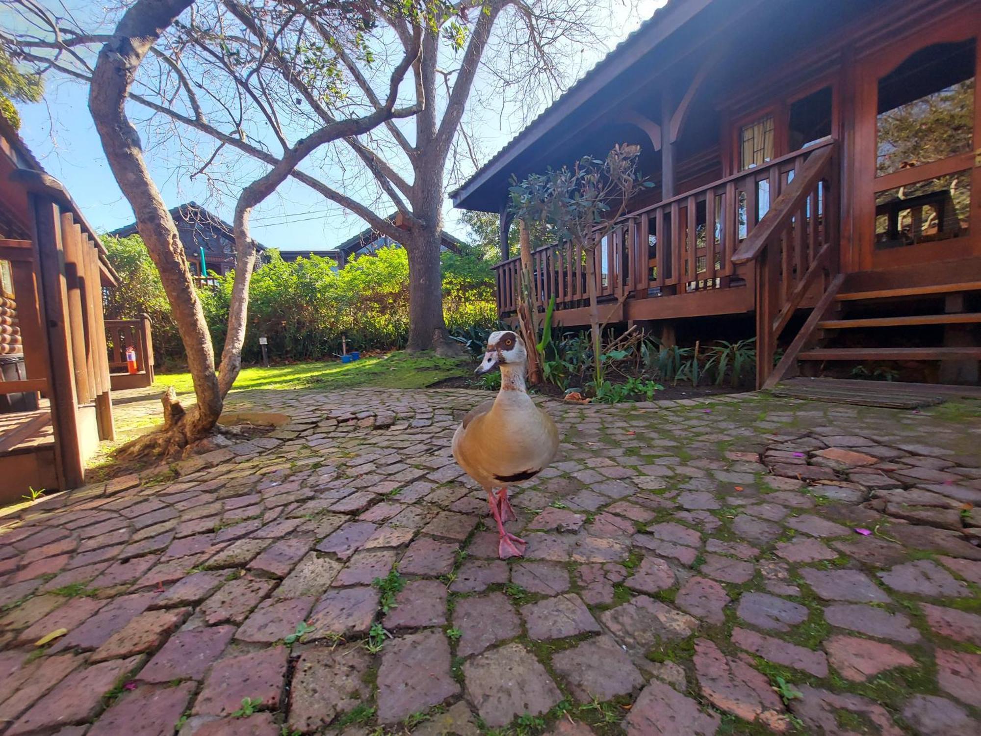 Knysna River Club By First Private Stays Екстериор снимка